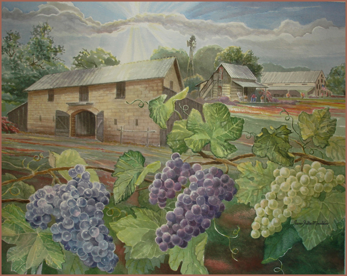 Image of Vineyards by Jane Felts Mauldin